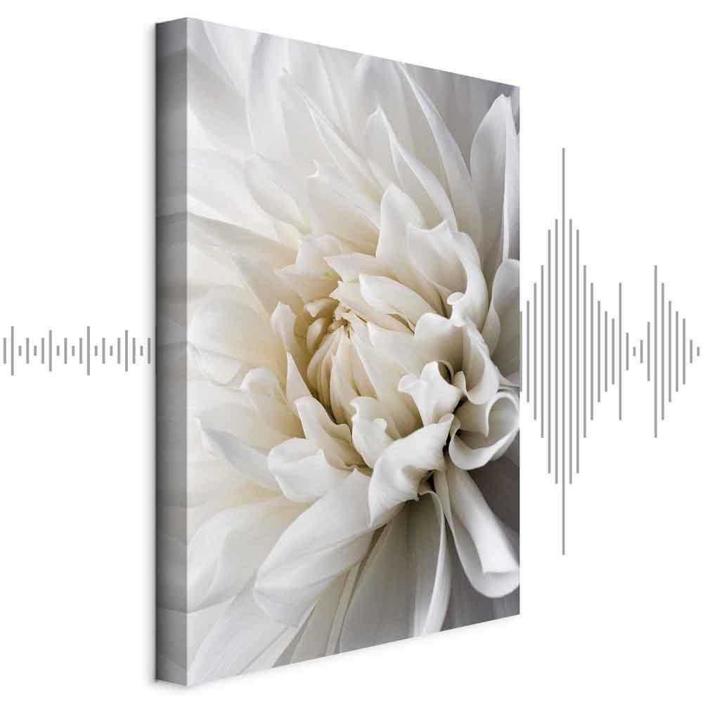 Obraz - Biała dalia
