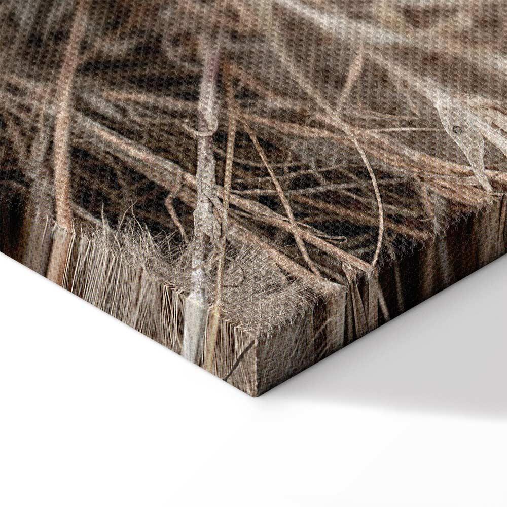 Obraz - Delikatne grono (1-częściowy) pionowy