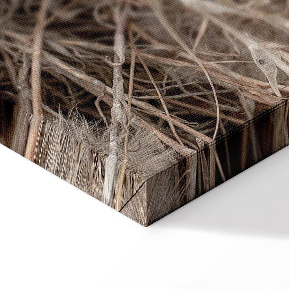 Obraz - Delikatne grono (1-częściowy) pionowy