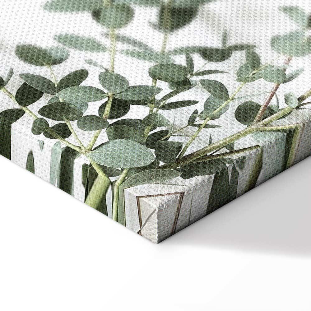 Obraz - Eukaliptus Parvifolia (1-częściowy) pionowy