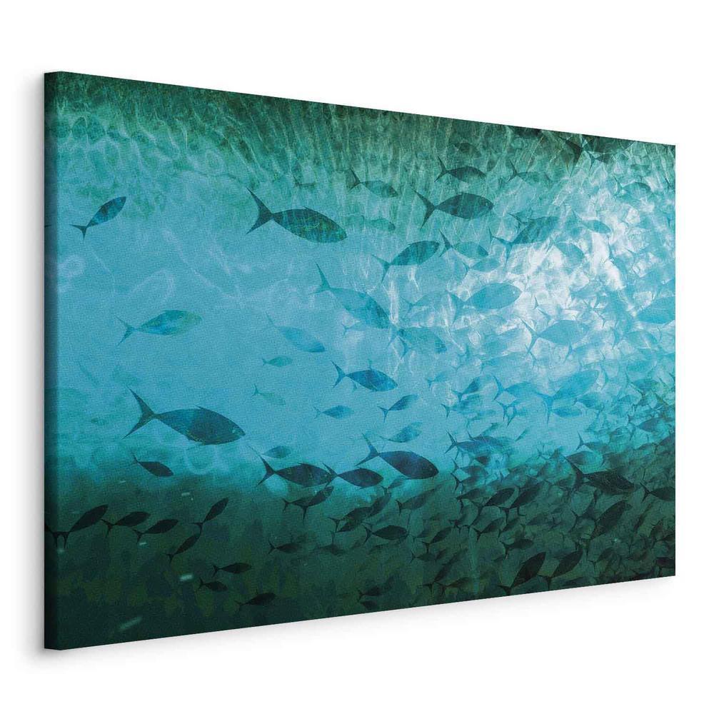 Obraz - Gromada ciemnych ryb