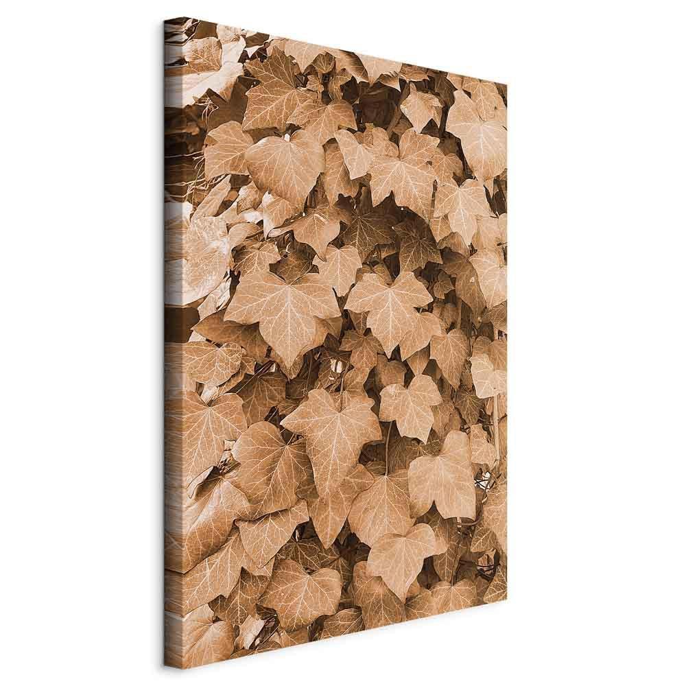 Obraz - Jesienny bluszcz (1-częściowy) pionowy