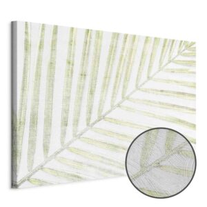 Obraz - Liść palmy (1-częściowy) szeroki