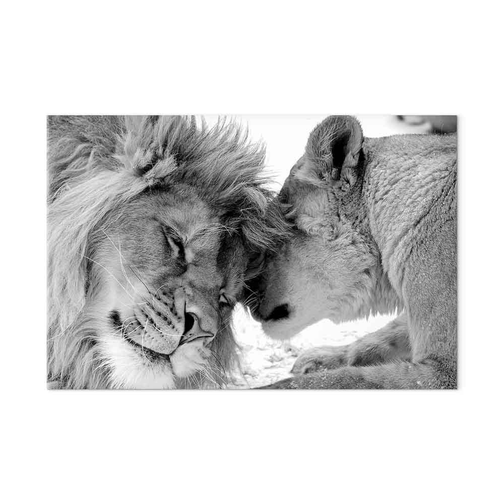 Obraz - Lwia miłość