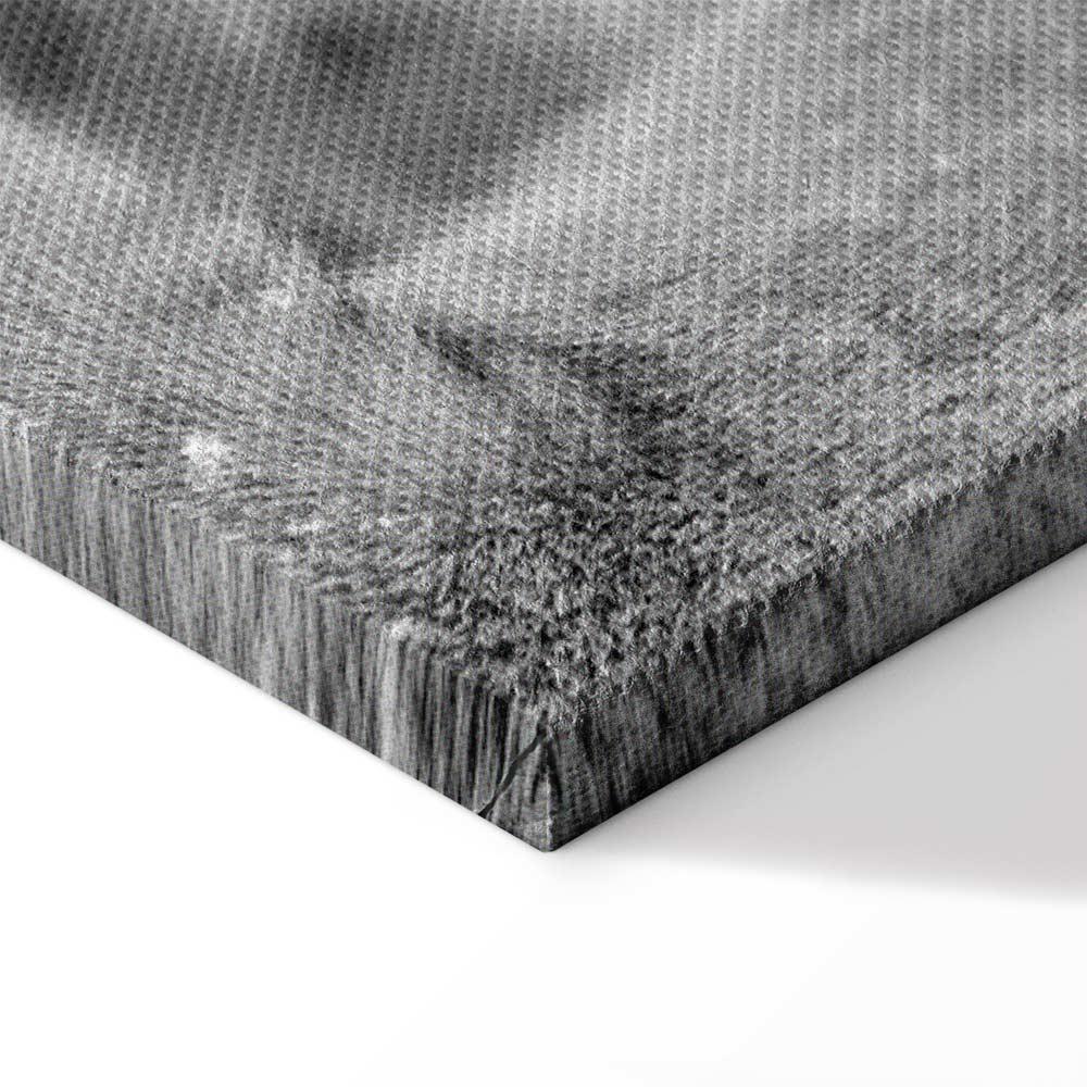 Obraz - Lwia miłość