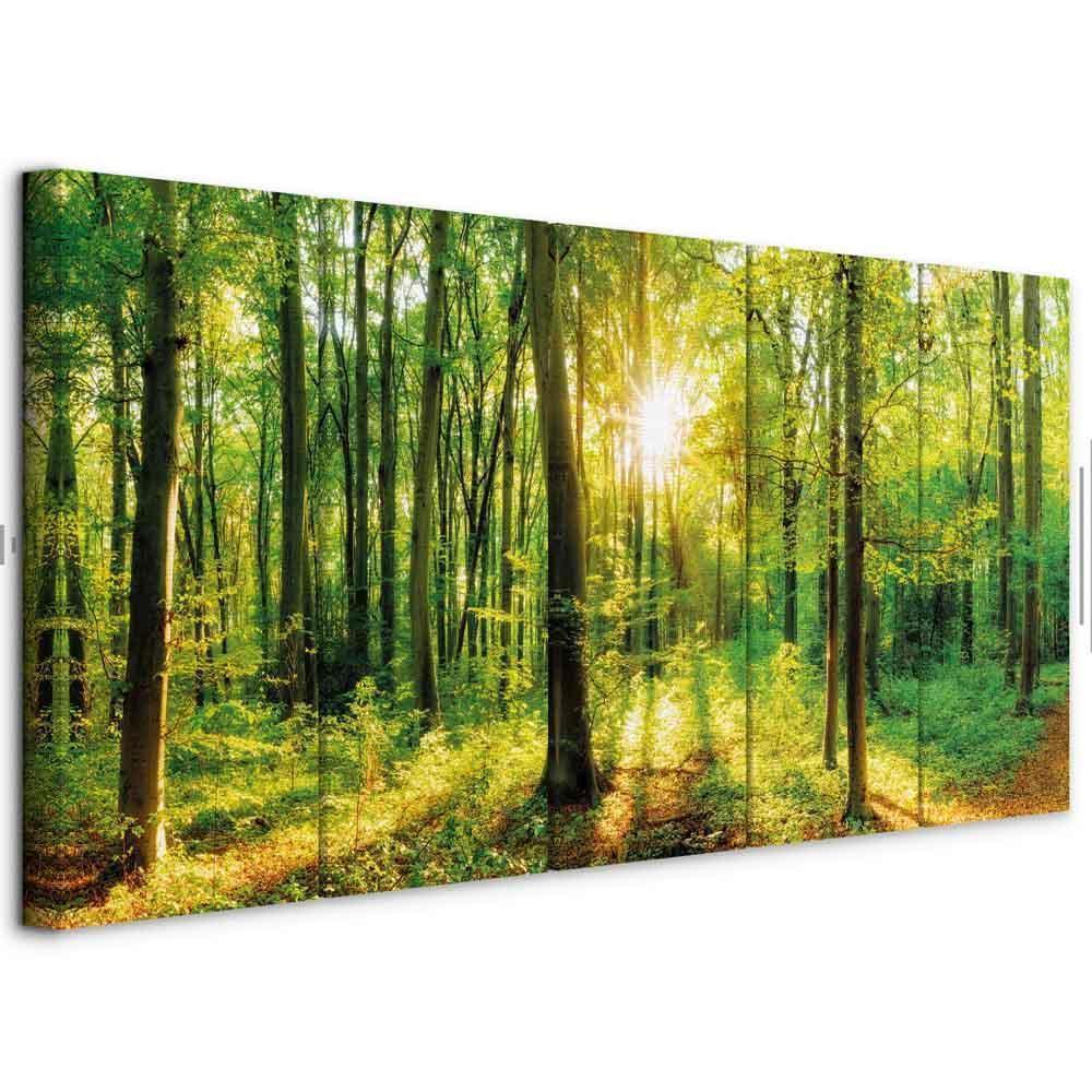 Obraz - Magiczny las
