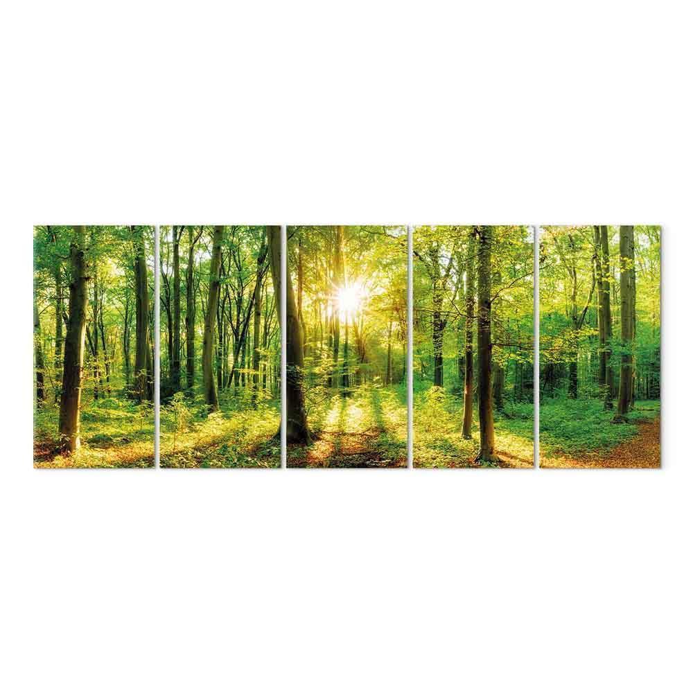 Obraz - Magiczny las