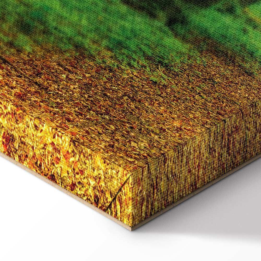 Obraz - Magiczny las