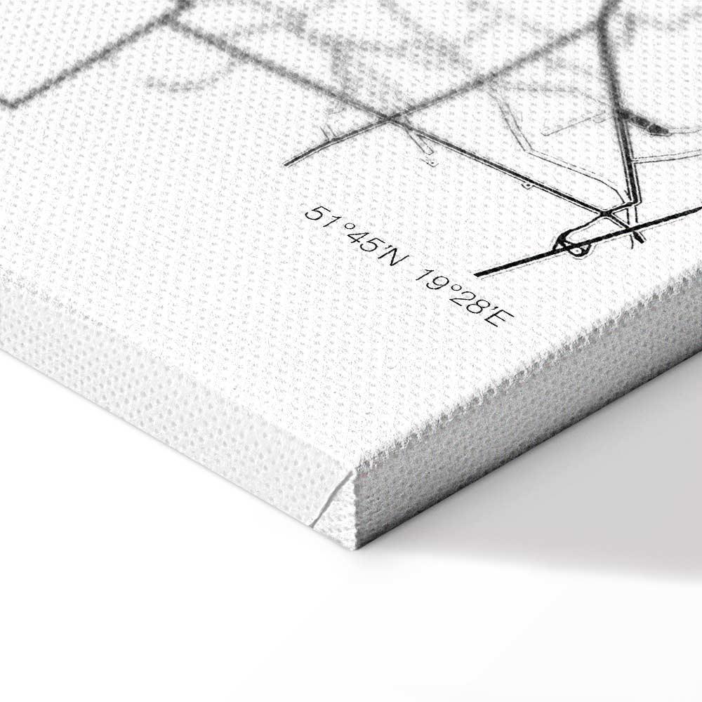 Obraz - Mapa miasta: Łódź (1-częściowy) pionowy