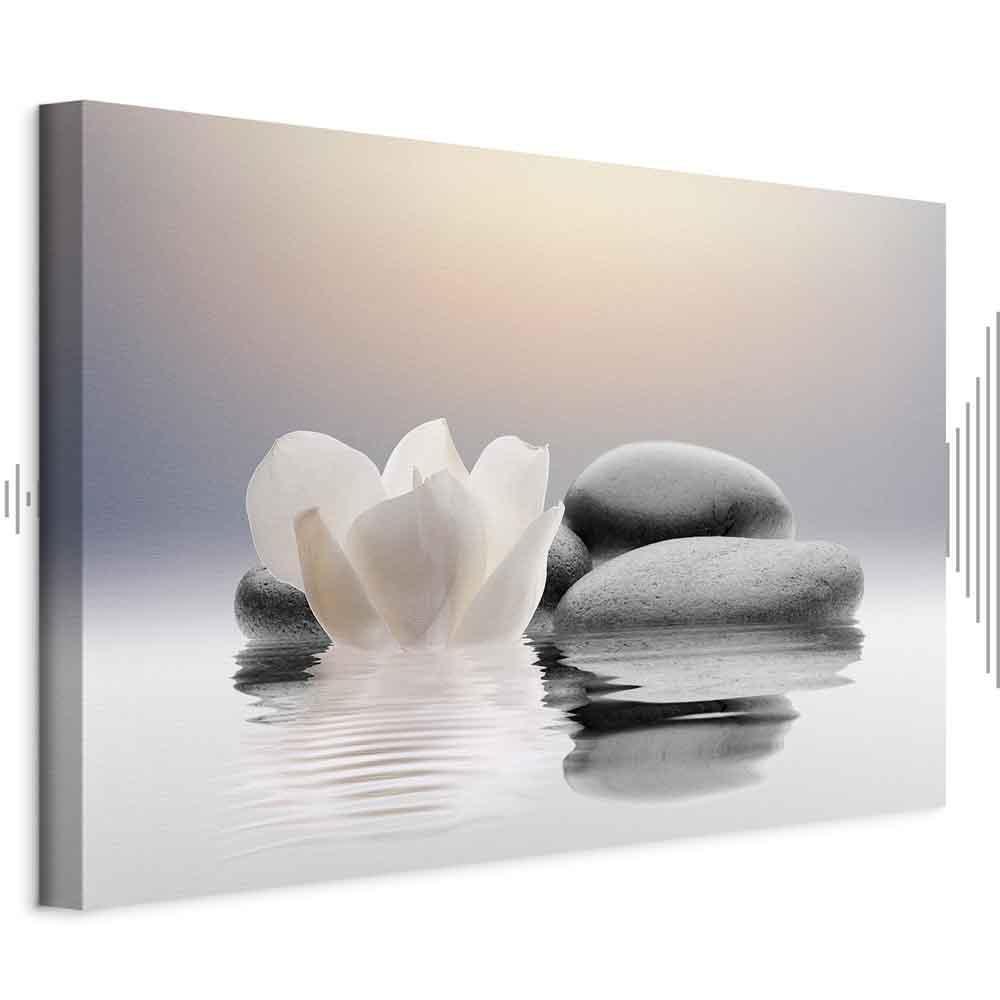 Obraz - Ogród spokoju