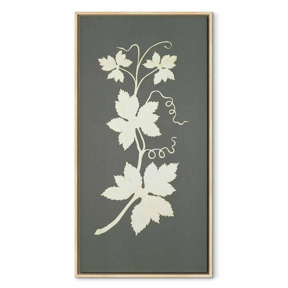 Obraz - Philipp Otto Runge – Roślina chmielu