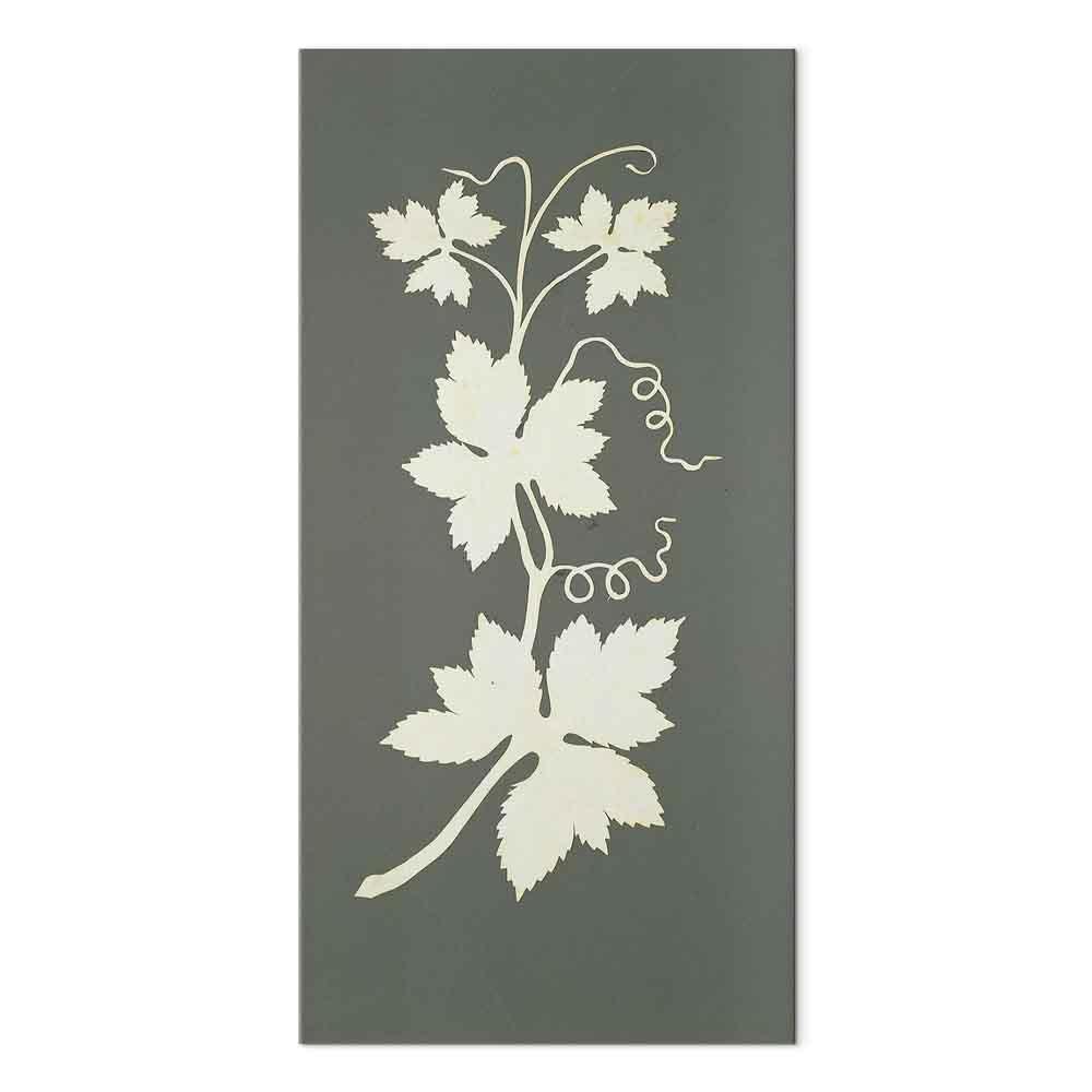 Obraz - Philipp Otto Runge – Roślina chmielu