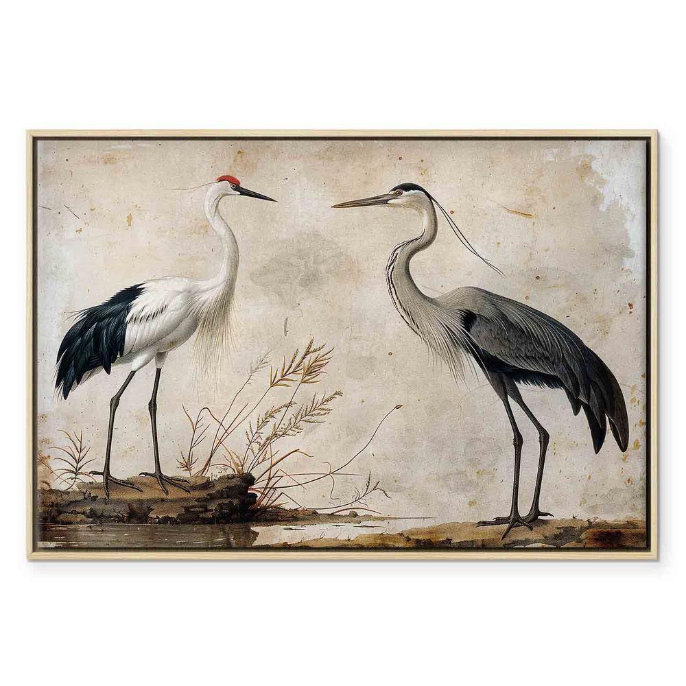Obraz - Ptaki ze starej ryciny - ilustracja w stylu vintage, przedstawiająca czaplę i żurawia