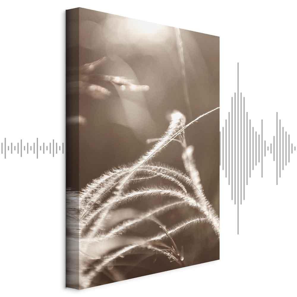 Obraz - Puszysta trawa (1-częściowy) pionowy