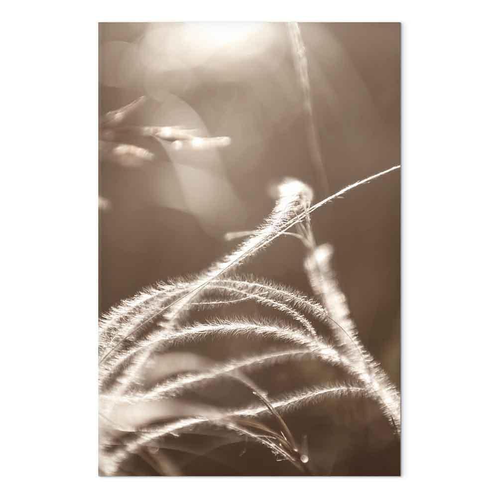 Obraz - Puszysta trawa (1-częściowy) pionowy