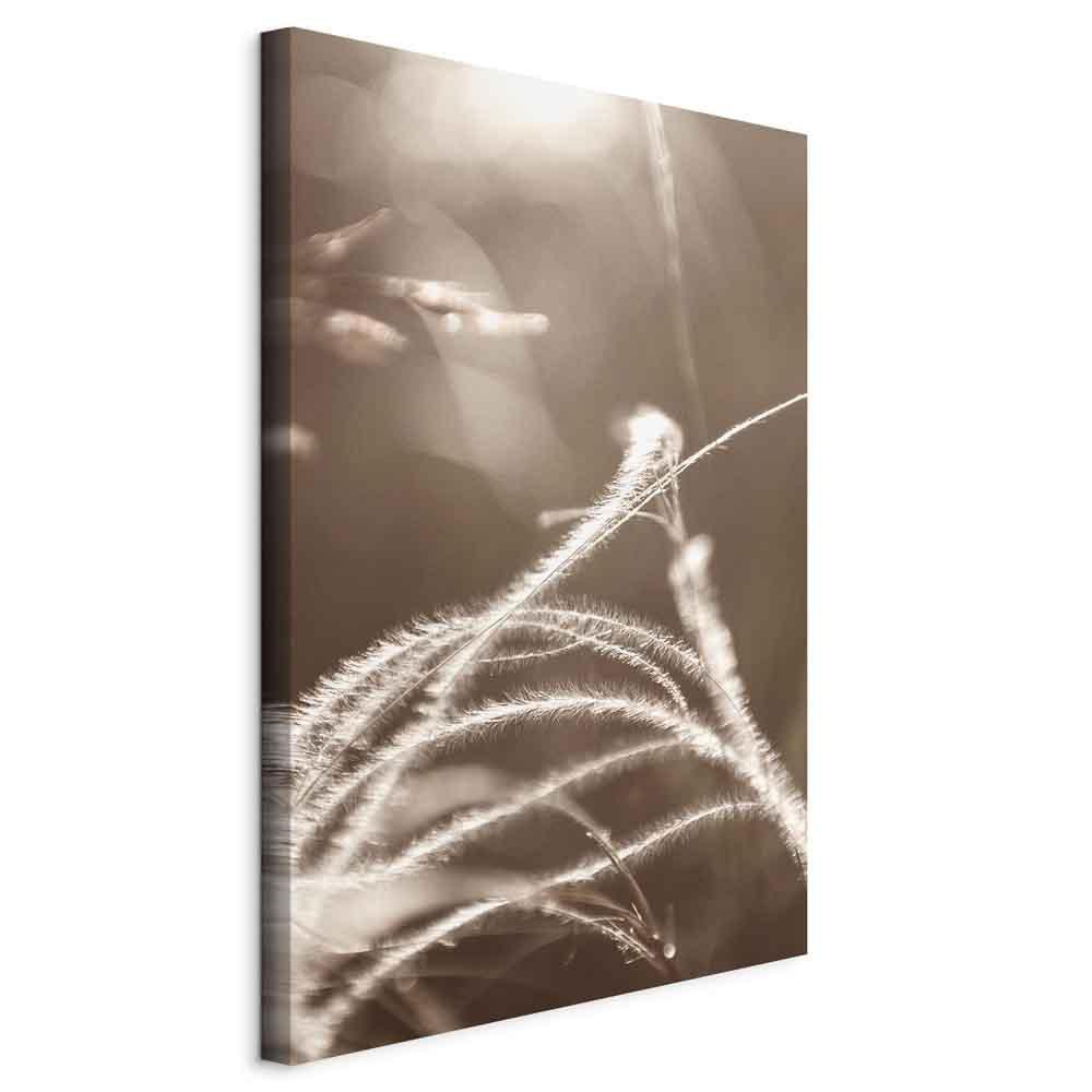 Obraz - Puszysta trawa (1-częściowy) pionowy