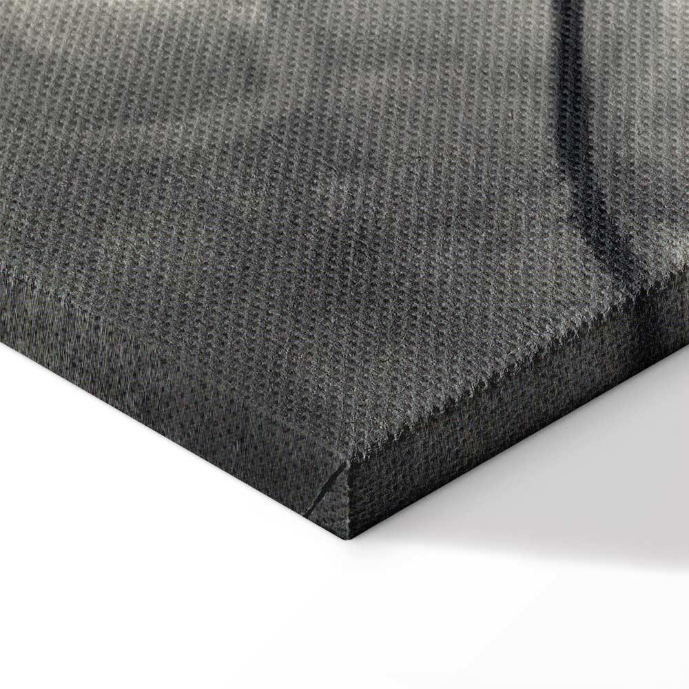 Obraz - Rozświetlone gałęzie (1-częściowy) szeroki