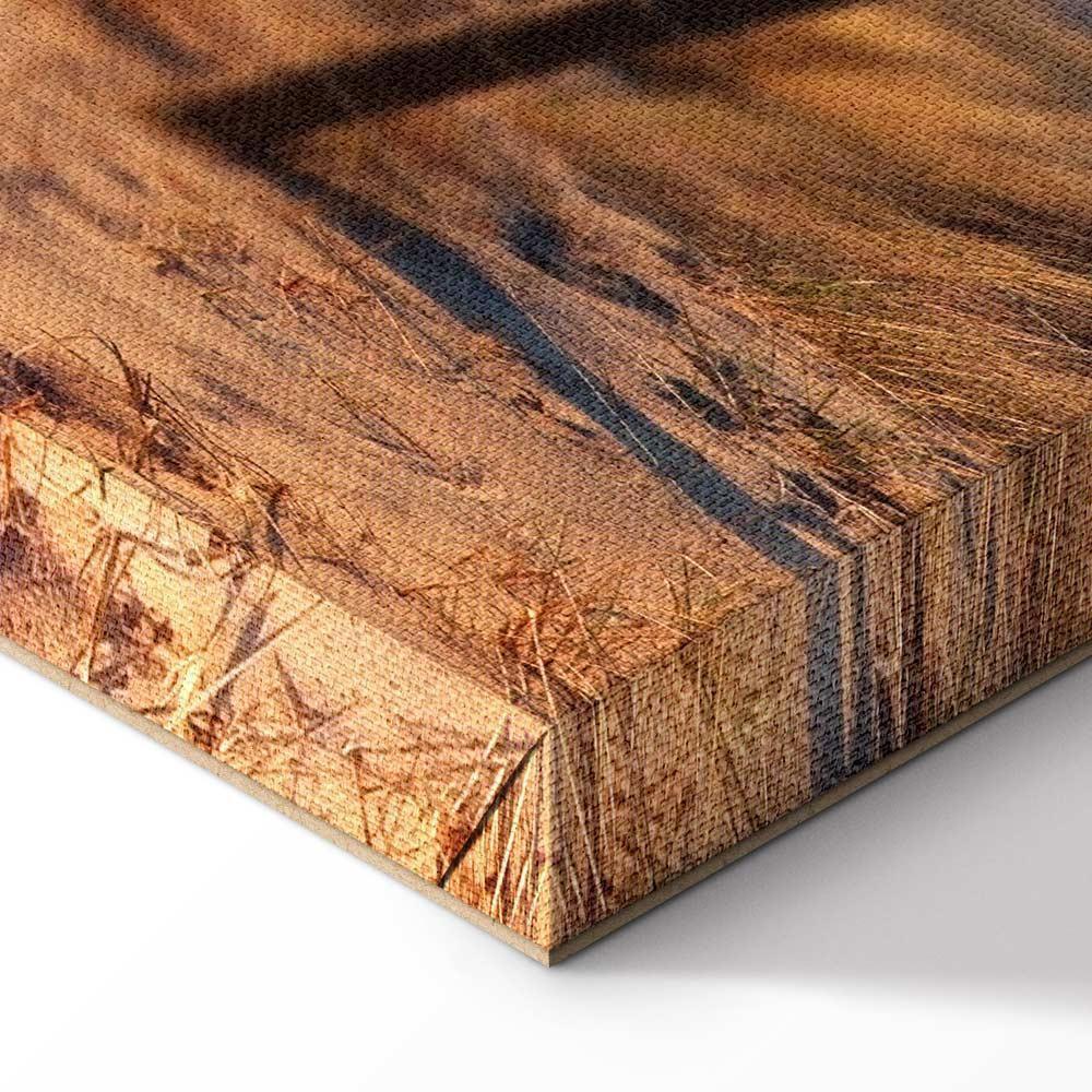 Obraz - Ścieżka zachodzącego słońca