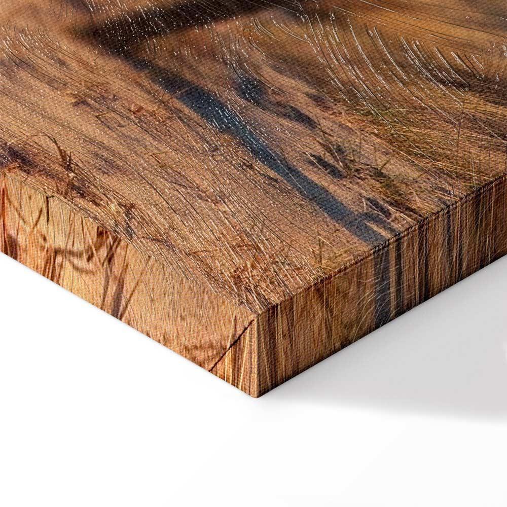 Obraz - Ścieżka zachodzącego słońca