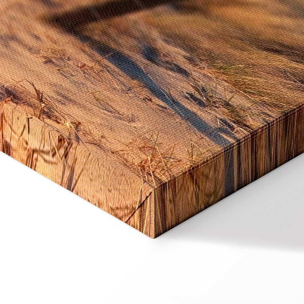 Obraz - Ścieżka zachodzącego słońca