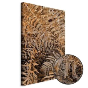 Obraz - Tajemnicza paproć (1-częściowy) pionowy