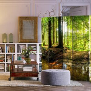 Parawan - Leśne jezioro II