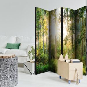 Parawan - Nieujarzmiona przyroda II