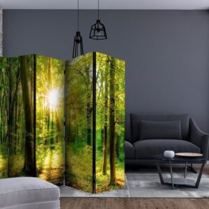 Parawan - Promienie lasu II