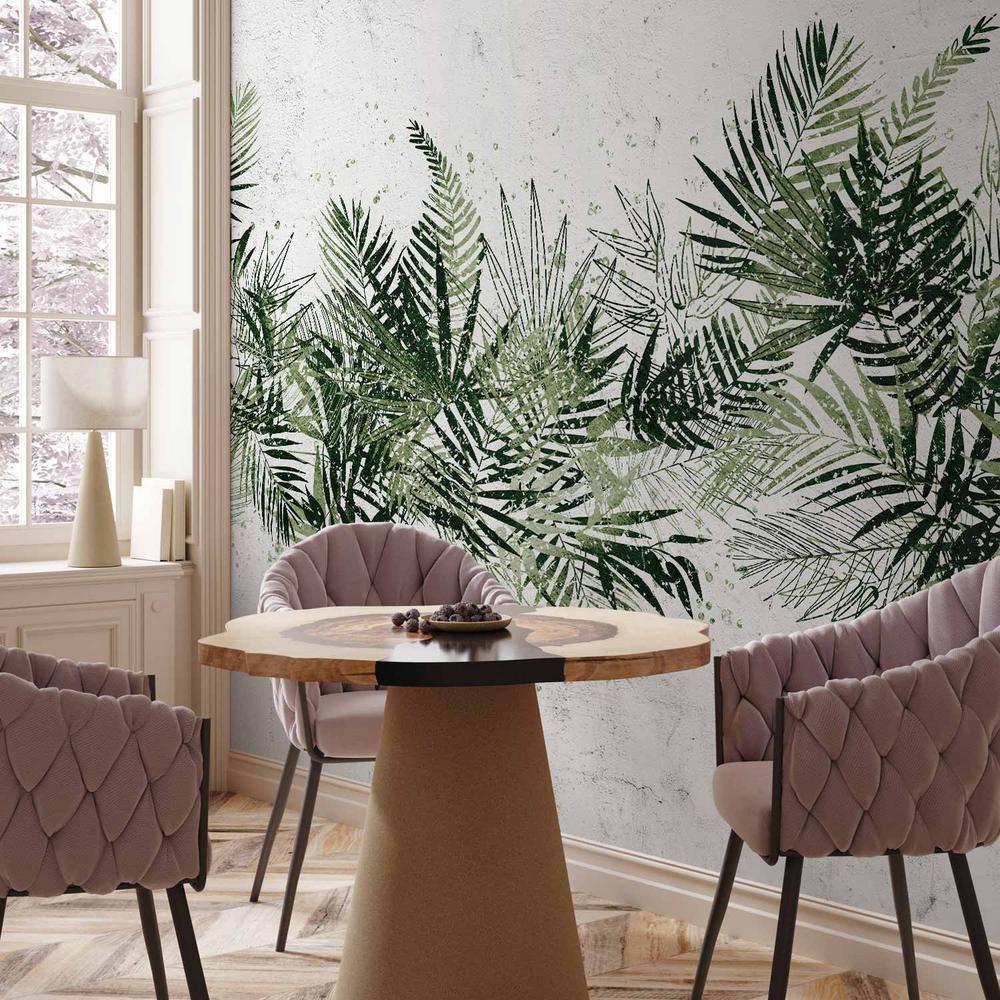 Fototapeta - Dżungla i zielony pióropusz - duże liście tropikalne na białym tle