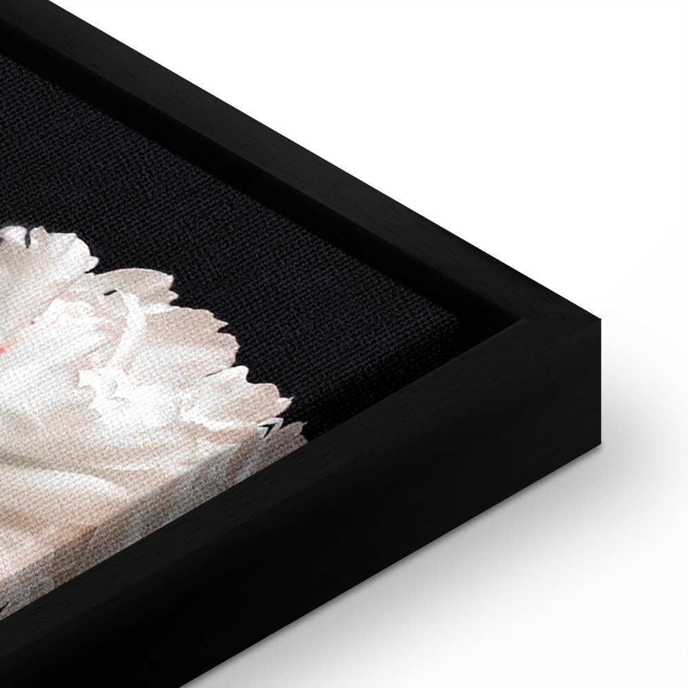 Obraz - Czar piwonii (1-częściowy) - kolorowy bukiet kwiatów na czarnym tle