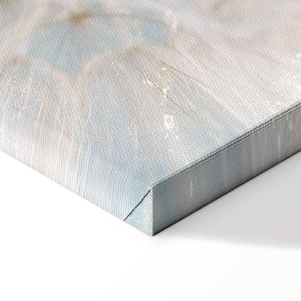 Obraz - Dmuchawiec w słońcu (1-częściowy) szeroki