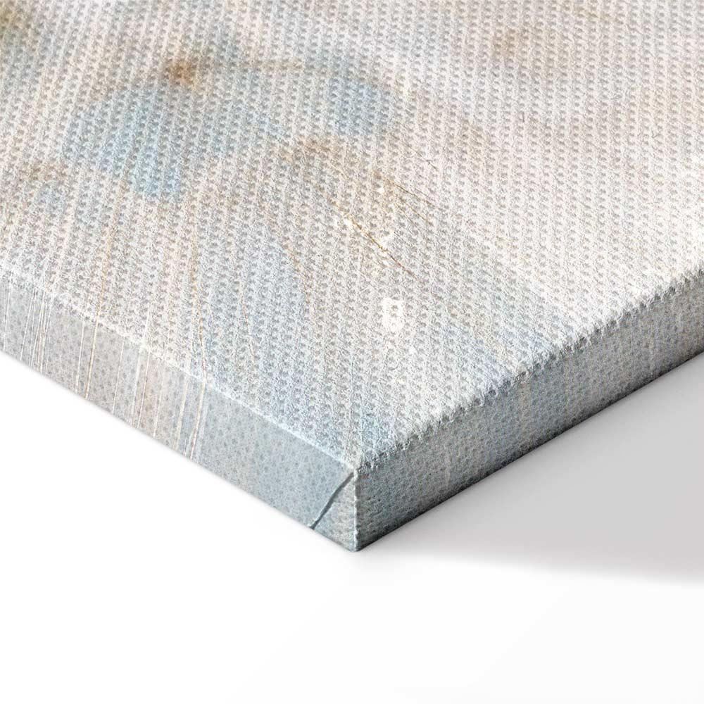 Obraz - Dmuchawiec w słońcu (1-częściowy) szeroki