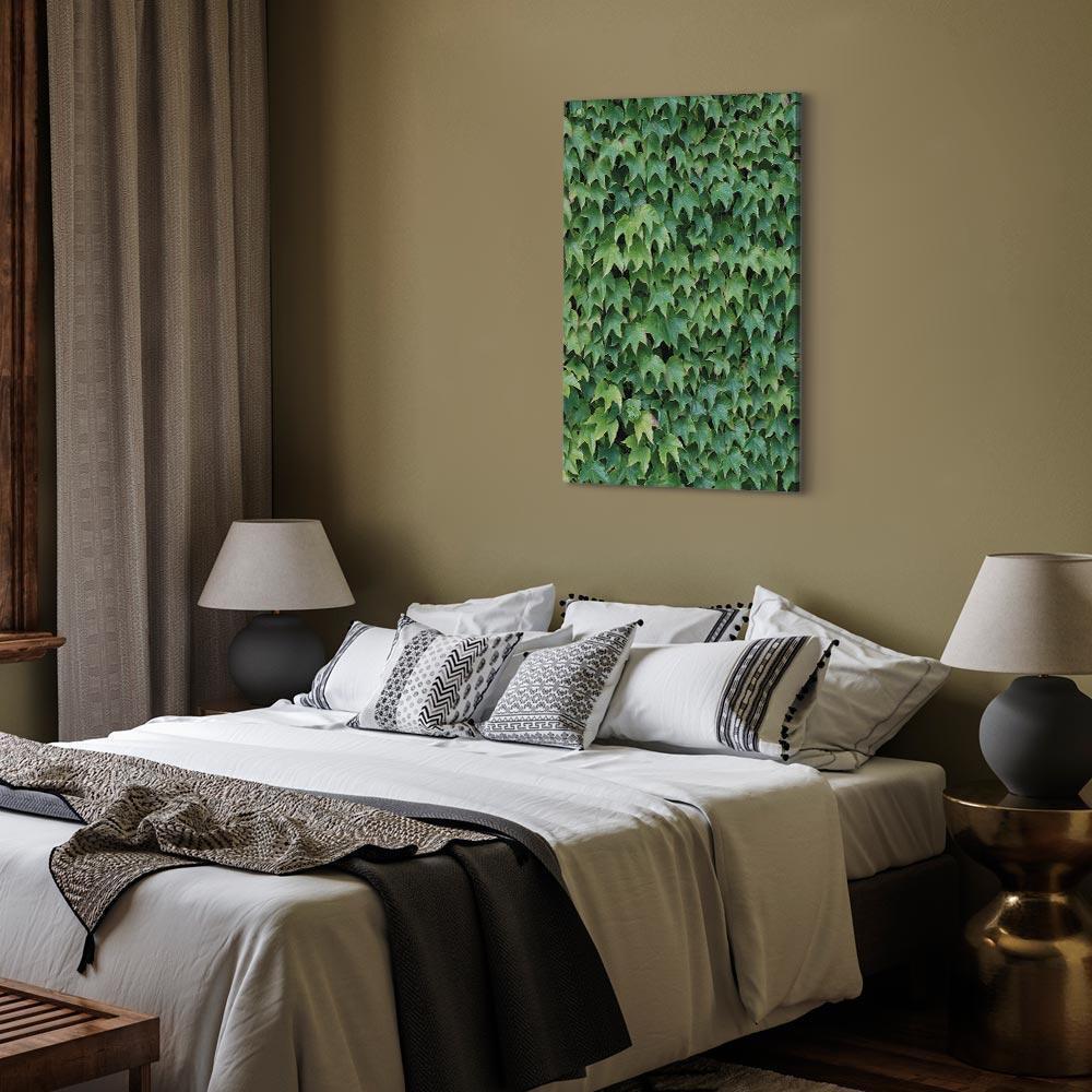 Obraz - Gęsty bluszcz (1-częściowy) pionowy