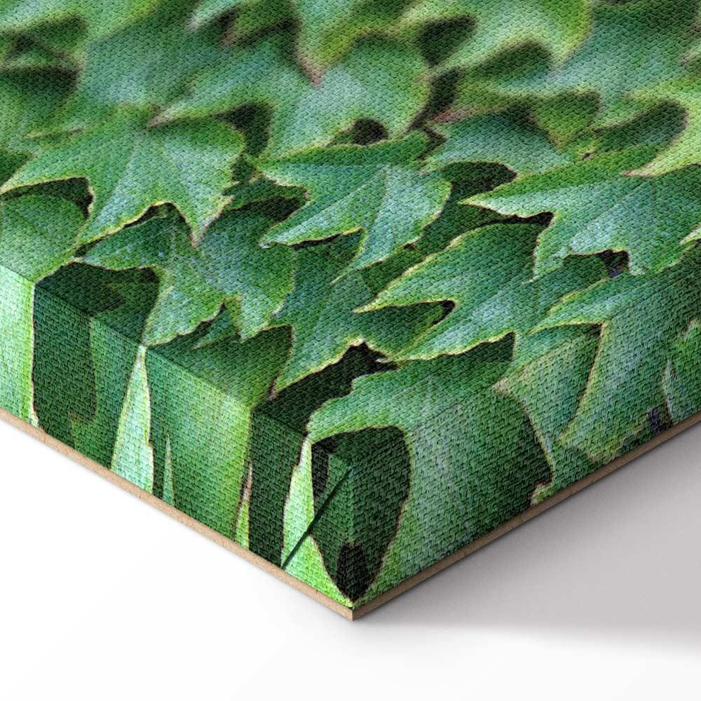 Obraz - Gęsty bluszcz (1-częściowy) pionowy