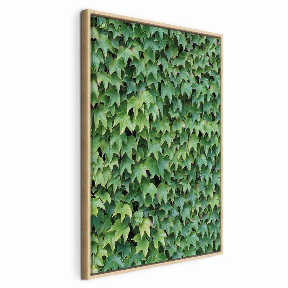 Obraz - Gęsty bluszcz (1-częściowy) pionowy
