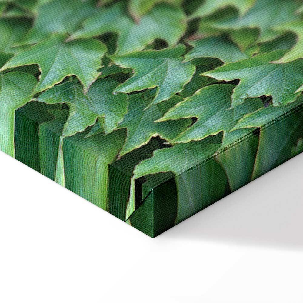 Obraz - Gęsty bluszcz (1-częściowy) pionowy