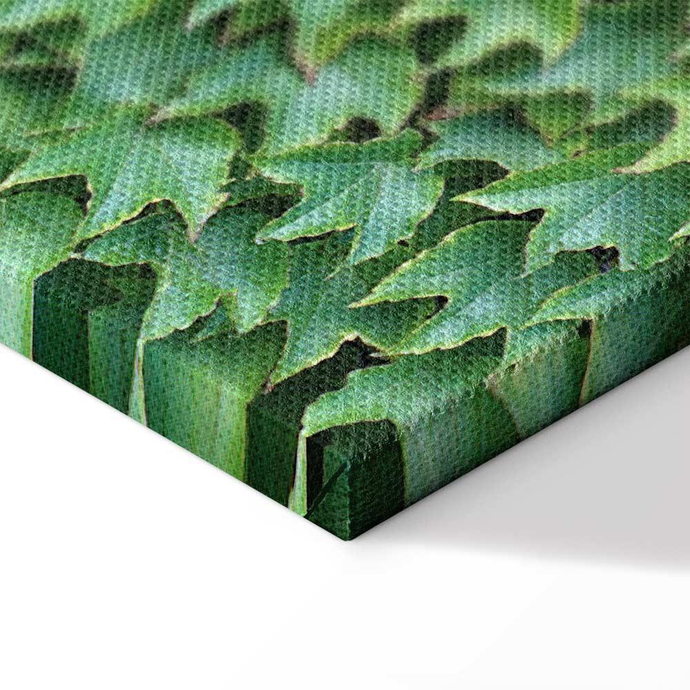 Obraz - Gęsty bluszcz (1-częściowy) pionowy