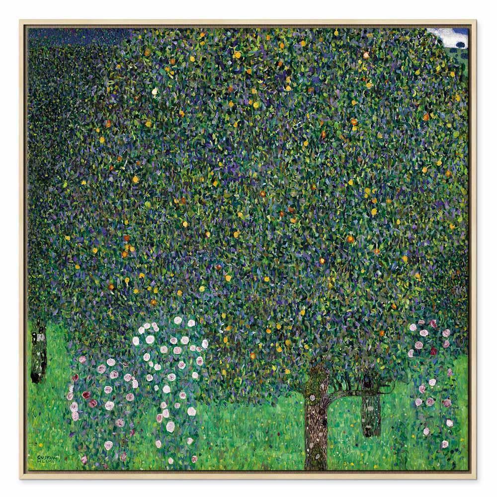 Obraz - Gustav Klimt – Róże wśród drzew