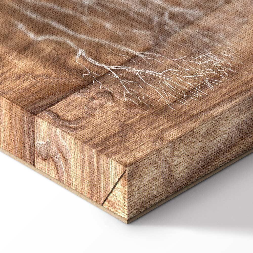 Obraz - Historia o drzewie