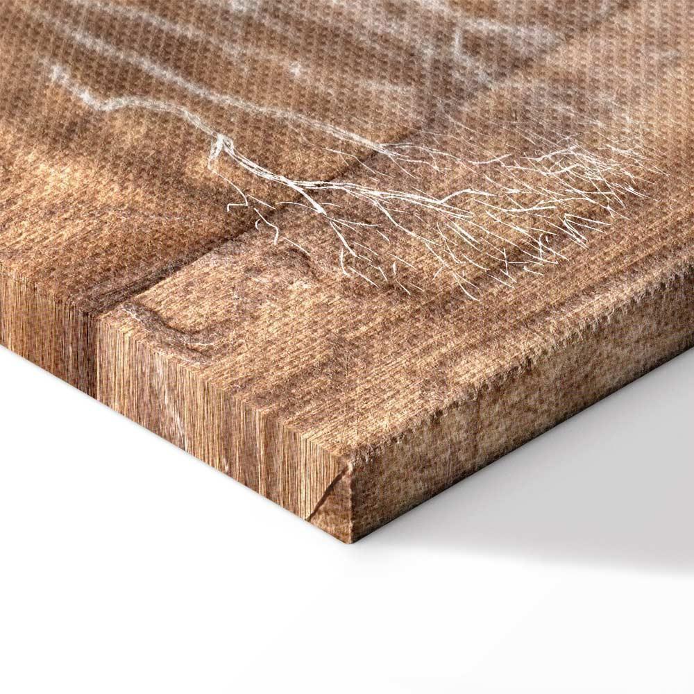 Obraz - Historia o drzewie