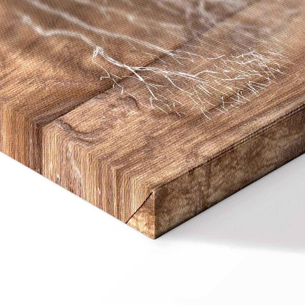 Obraz - Historia o drzewie