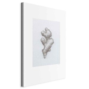 Obraz - Imbir (1-częściowy) pionowy