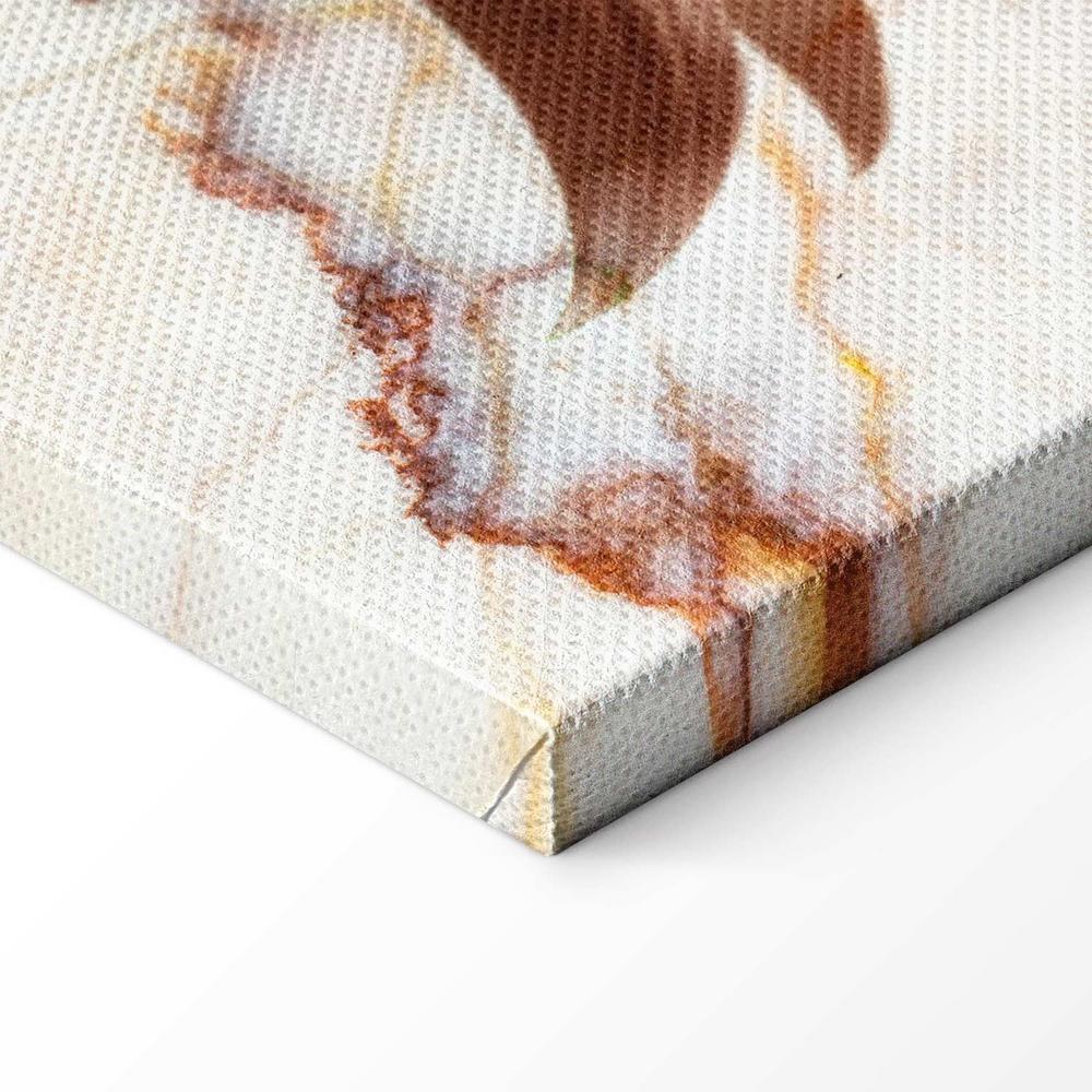 Obraz - Kwiat elegancji (1-częściowy) - delikatna lilia na tle marmuru w sepii