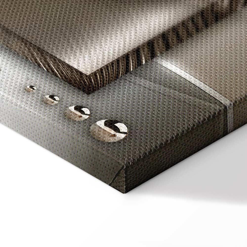 Obraz - Światowa bryza