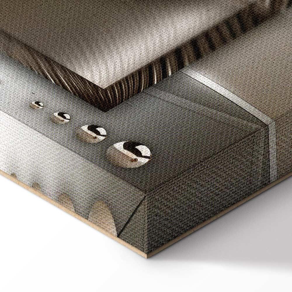 Obraz - Światowa bryza