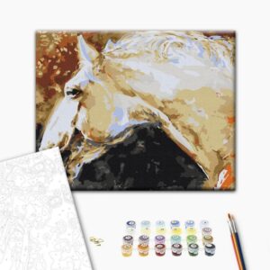 Obraz do samodzielnego malowania - Biały koń