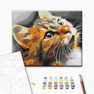 Obraz do samodzielnego malowania - Rudy kot