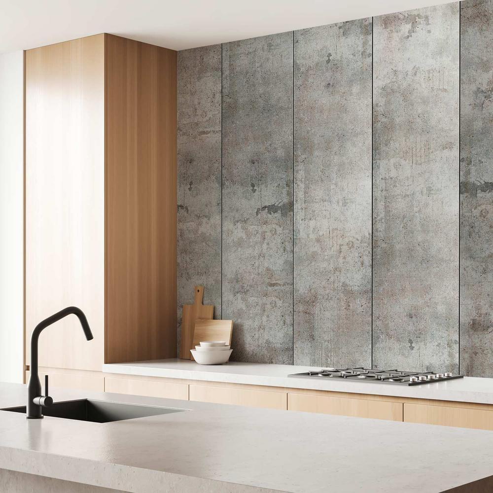 Tapeta - Szary gołąb